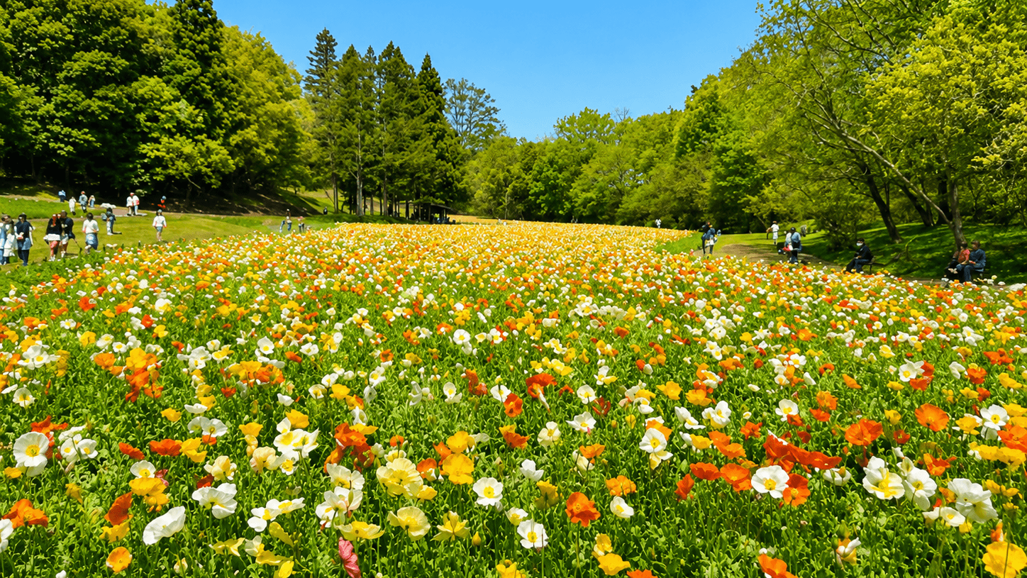 国営武蔵丘陵森林公園